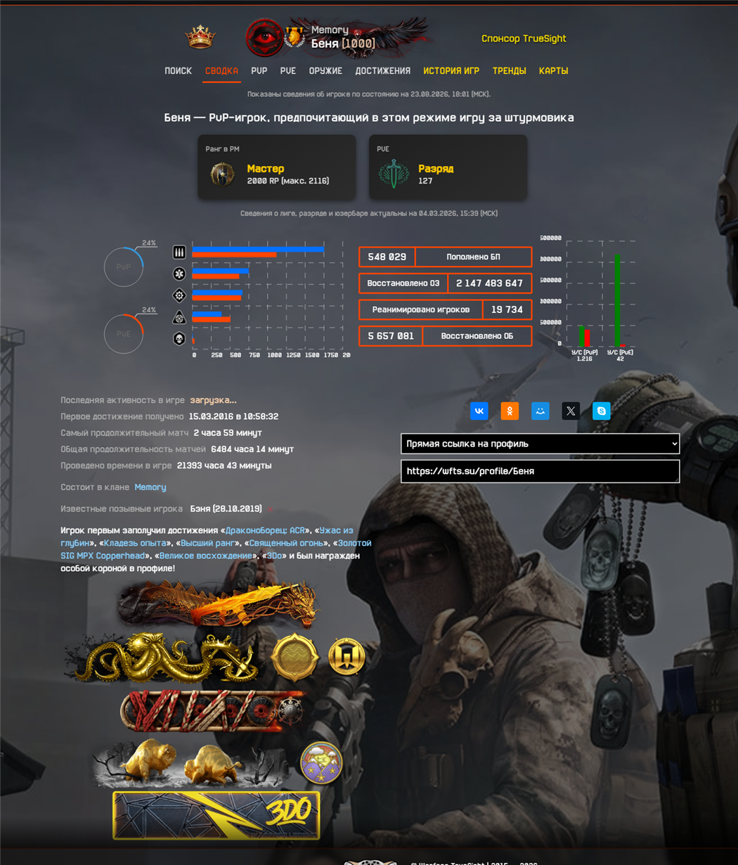 Профиль игрока с эксклюзивным VIP-фоном